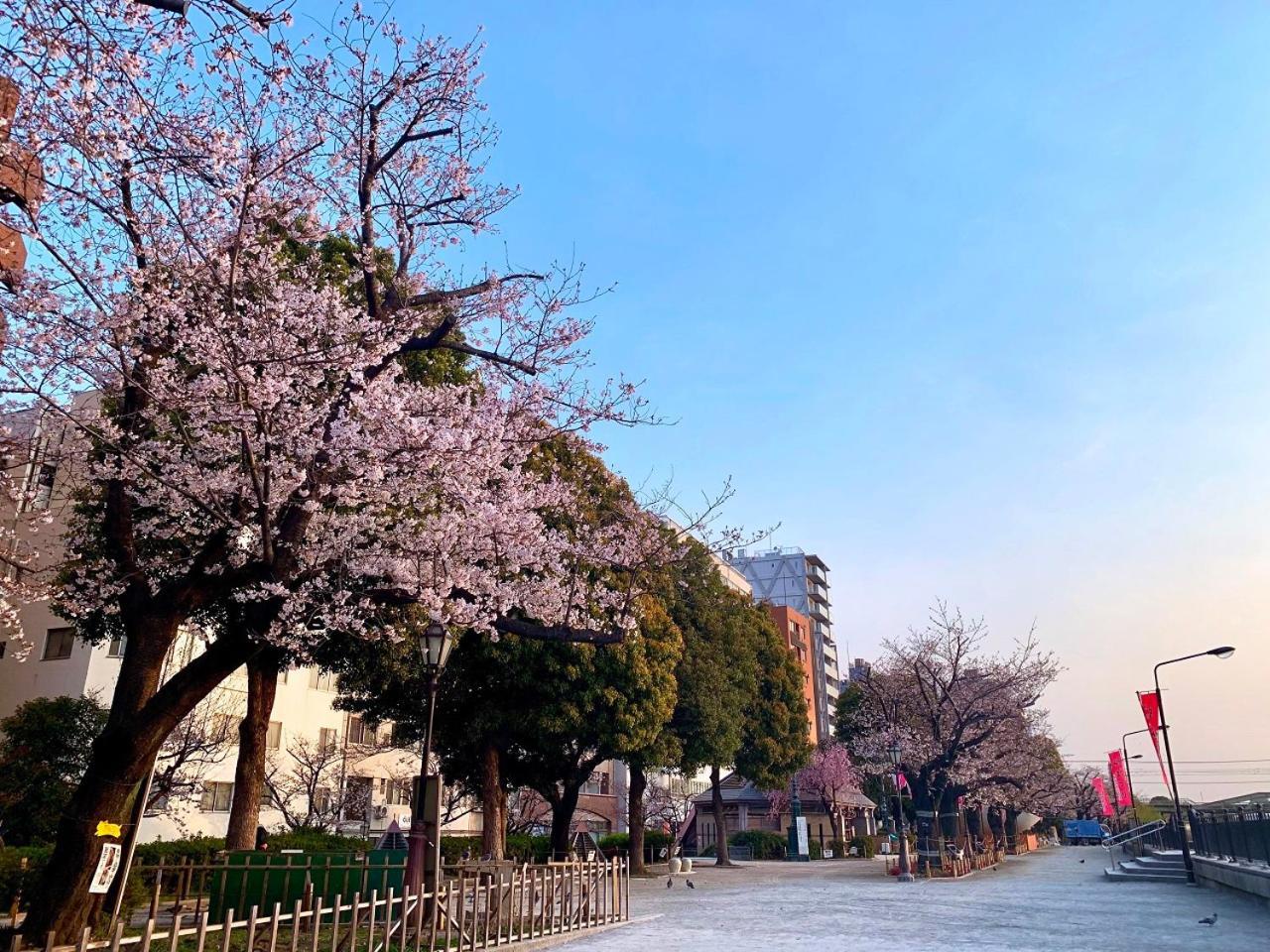 Apa Asakusa Kaminarimon Präfektur Tokio